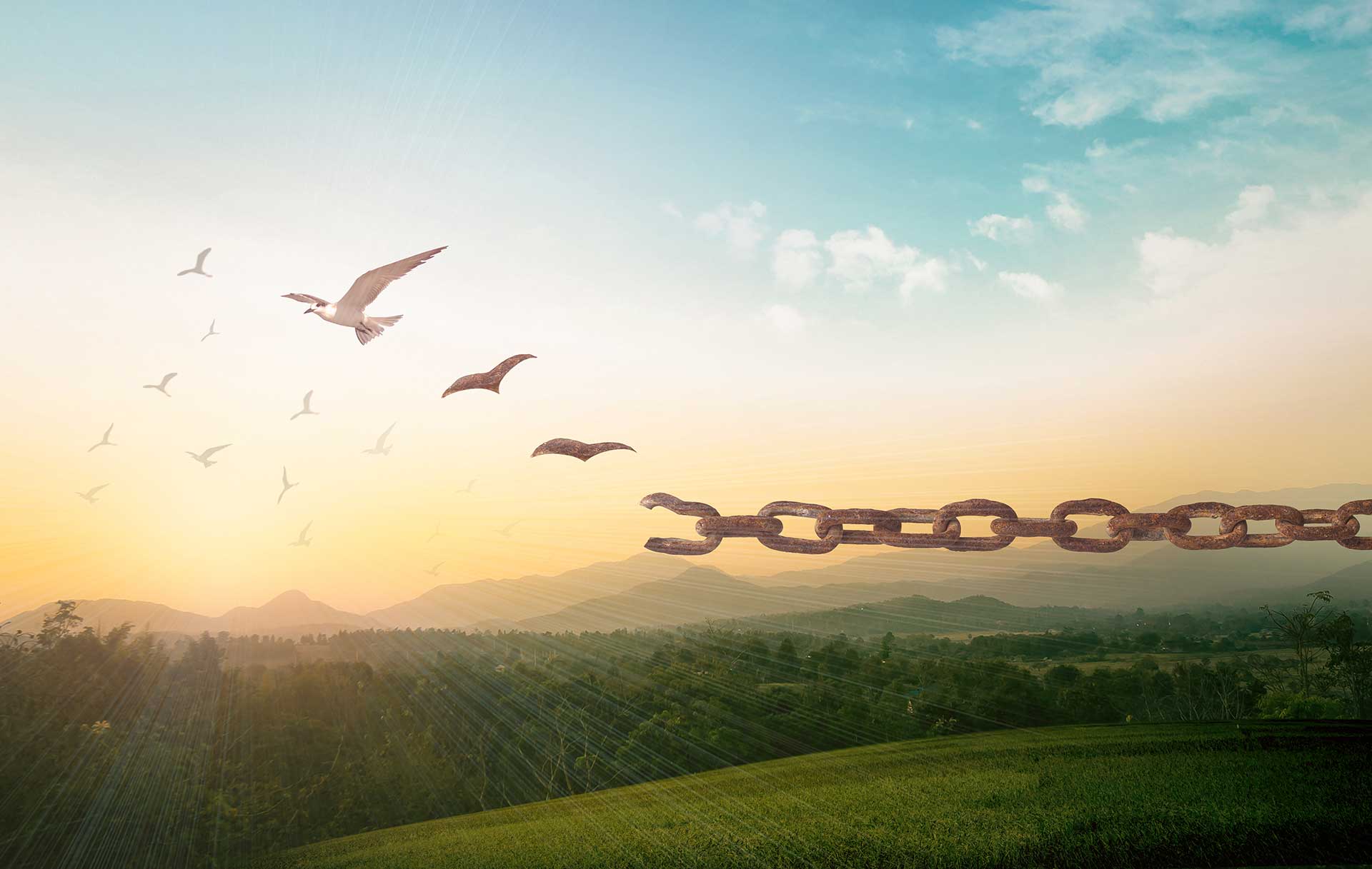 chains